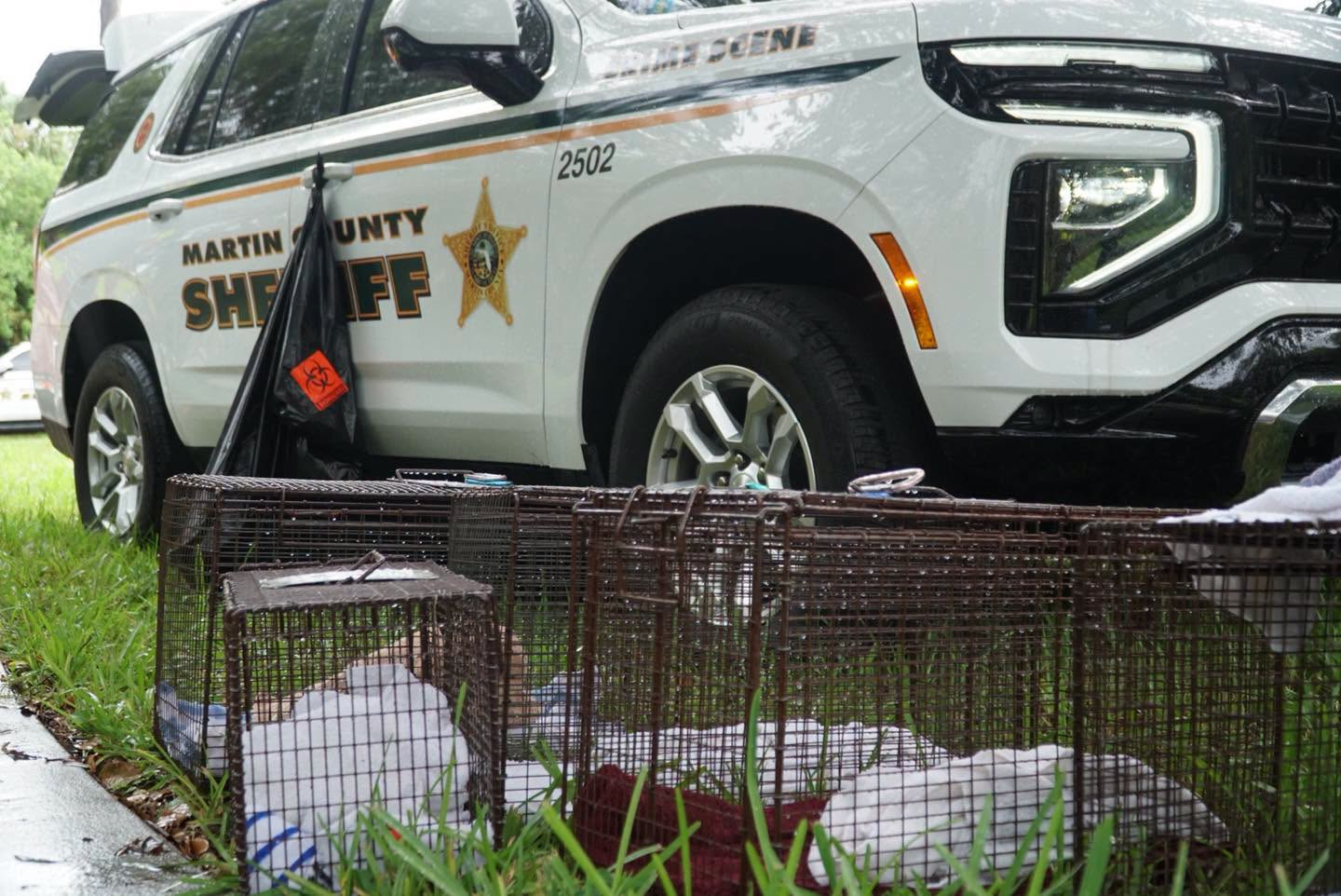More Than 70 Animals Found in Stuart Home During Large-Scale Hoarding Response
